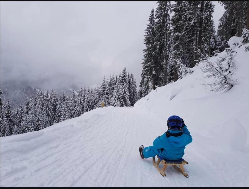 Lieblingsplatz - Ski In Und Ski Out See Bagian luar foto